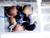 العفو الدولية : التعذيب فى المكسيك خارج السيطرة