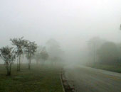 الضباب يعطل الطيران بمطار "أنديرا غاندى" بنيودلهى 