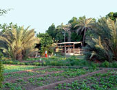 مليونيرة بريطانية تحرم قريتها من ميراثها 