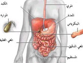 نظام غذائى لعلاج "حرقة" الأمعاء فى رمضان