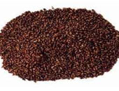 بذور الكينوا تعالج الضغط المرتفع والعلاج النصفى