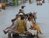 مواطن أوزبكى يقتل امرأة روسية لظنه "بقرب يوم القيامة" 