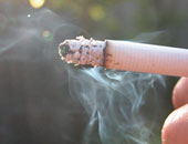 ضبط مواطن صور طفلة شقيقته أثناء تدخينها سيجارة بالدقهلية 
