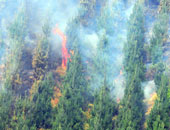 اتساع نطاق حرائق الغابات فى سيبيريا