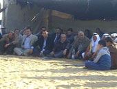 بدو سيناء: الاستثمار فى نبات الجوجوبا يوفر 50 مليار جنيه سنويًا