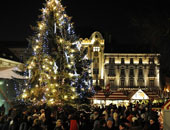شجرة عيد الميلاد ومشهد ميلاد المسيح يضيئان فى ساحة القديس بطرس