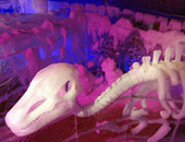 بالصور.. مهرجان النحت على الجليد ببلجيكا