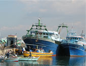 نشاط حركة السفن والبضائع بميناء الإسكندرية بالتزامن مع احتفالات شم النسيم