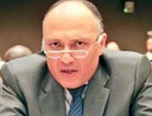 وزير الخارجية فى اجتماع الحكومة: مصر لم تتدخل عسكريا فى ليبيا