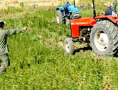 "الزراعة":تسوية تربة 115 ألف فدان باستخدام الجرارات الموجهة بأشعة الليزر