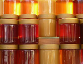 قافلة إرشادية بالشرقية عن فوائد عسل النحل الطبية والغذائية