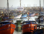 250 سفينة صيد صينية تبحر قبالة بيرو لصيد الأسماك