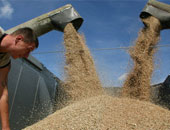 كازاخستان تصدر الحبوب للدول العربية عن طريق المركز اللوجيستى العالمى فى مصر