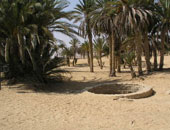 رئيس"آثار سيناء": المناطق الآثرية بجنوب سيناء تحتاج تمويلا وتبحث عن زائرين
