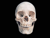 عامل أمريكى يعثر على جمجمة بشرية يبلغ عمرها 3000 عام للسكان الأصليين بأمريكا