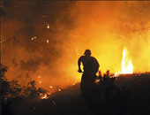 السيطرة على حريق بمزرعة نخيل بالوادى الجديد وإصابة 4 أشخاص بالاختناق