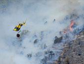 حريق غابات يدفع السلطات الإسبانية لإخلاء منطقة بجزر الكنارى