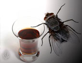 الكحول وسيلة هروب الذباب من المشاكل العاطفية