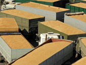 شركة استشارية تخفض توقعاتها لصادرات القمح الأوروبية فى موسم 2015– 2016