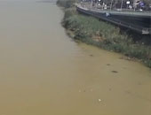 إيقاف ١٠ محطات مياه فى الجيزة بسبب "عكارة نهر النيل" 