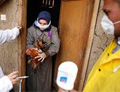 وزارة الصحة: وفاة سيدة فى المنيا نتيجة إصابتها بأنفلونزا الطيور