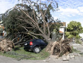 العاصفة "إريكا" تتجه نحو أمريكا بعد تسببها فى وفاة 7 أشخاص فى دومينيكا