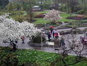 العثور على طريق رومانى تحت مدينة هولندية