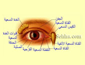 تعرف على أهم المشاكل الصحية لجفاف العين