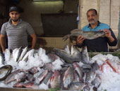 الغرفة التجارية: أسعار الأسماك لم تتأثر من حملة مقاطعة اللحوم