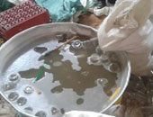 مياه ملوثة بالبحيرة تصيب 15 عاملا زراعيا بالتسمم الفسفورى