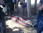 شهود عيان: العثور على جثة مفصولة الرأس جنوب الشيخ زويد