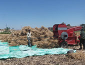"زراعة سوهاج" تنظم ندوة حول تحسين طرق الزراعة والنهوض بمحصول القمح