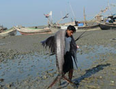 السجن لصيادين صينيين اعتقلتهم الإكوادور وبحوزتهم 6600 سمكة قرش