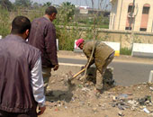 التنمية المحلية: 79.7 مليون شجرة تزرعها الوزارة والمحافظات ضمن مبادرة الرئيس