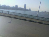 إنقاذ سيدة قفزت من أعلى كوبري الجامعة في نهر النيل بالجيزة.. فيديو
