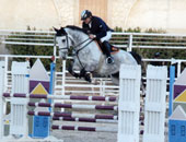 انطلاق كأس مصر للفروسية 31 مايو