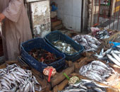 أسعار الأسماك اليوم الاثنين بسوق العبور