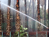 السيطرة على حريق أشجار بقطعة أرض فى العمرانية دون إصابات