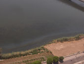"البيئة" تواصل جهودها لتشتيت بقعة زيت بمساحة 50 مترا فى النيل بالدقهلية