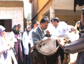 طب بيطرى كفر الشيخ: نكثف الرقابة على محال الجزارة والأسواق والمطاعم