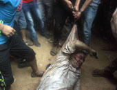 منسق حركة "مصر الفاطمية" وشاهد عيان فى أحداث أبو النمرس: قتلوا الشيخ حسن ومثّلوا بجثته.. كنا نحتفل بالمهدى المنتظر.. ونتوقع المزيد من الهجمات ونرحب بالحماية الدولية..السلفيون والإخوان شركاء فى الجريمة