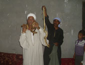 بالصور..عم رمضان صائد الثعابين يروى حكاياته مع الأفاعى: أعرف أماكنها عن طريق الشم.. وأصطادها بترياق يشبه رائحة الوليفة.. ويوجد بمصر 188نوعا.. والكوبرا والطريشة والعمية والأرقم والجدارى الأخطر