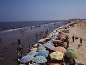 ياترى ناوى تروح المصيف رغم الأنفلونزا والطاعون؟