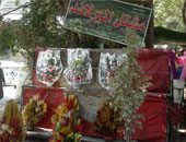 مصرع وإصابة 4 أشخاص فى حريق هائل بمشتل زهور بشرم الشيخ