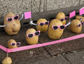 تظاهرة للبطاطس أمام أحد المطاعم والخيار يحاول احتوائها.. فقط فى ألمانيا