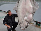 رجل من كاليفورنيا يصطاد أكبر سمكة "هالبوت" فى العالم 