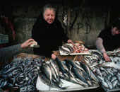 القبض على تاجر أسماك فاسدة 