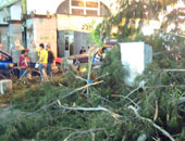 الحماية المدنية : إزالة أثار شجرة سقطت بمنطقة فيصل بدون إصابات