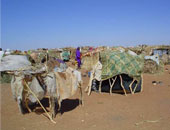 الإندبندنت: أزمة على غرار دارفور تهدد الحدود بين الشمال السودان وجنوبه