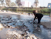 أهالى "القنطرة البيضاء" بكفر الشيخ يحذرون من تلوث مياه الشرب بالمنطقة